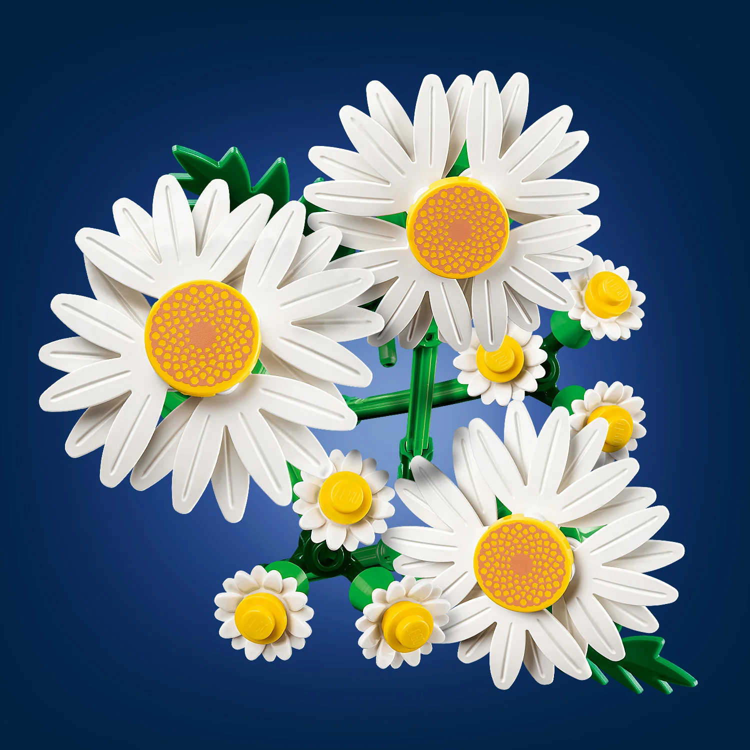 LEGO® Botanicals Daisies